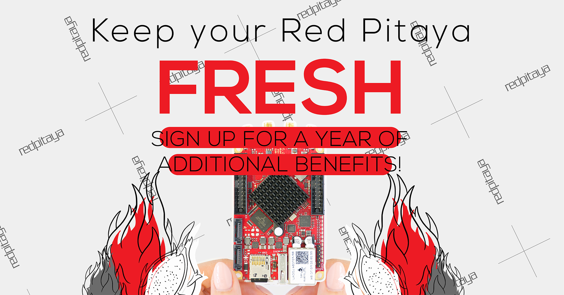 Red Pitaya Fresh_v2 (002)
